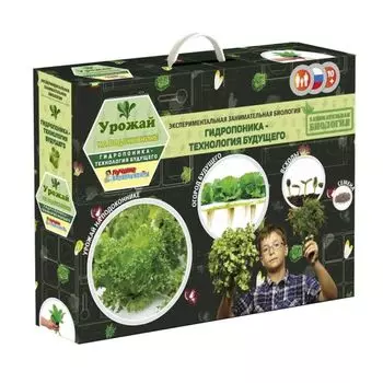 Опыты. Занимательная Биология. Урожай на подоконнике