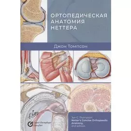 Ортопедическая анатомия Неттера