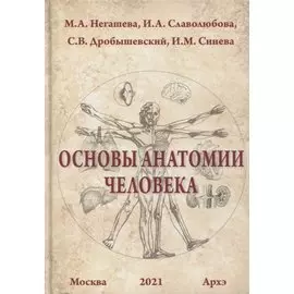 Основы анатомии человека