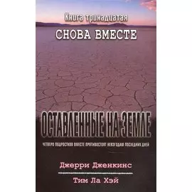 Оставленные на земле. Книга 13. Снова вместе