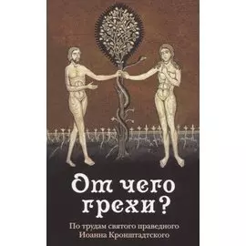 От чего грехи? Опыт борьбы со страстями