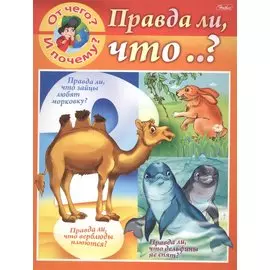 От чего и почему? Правда ли что..?