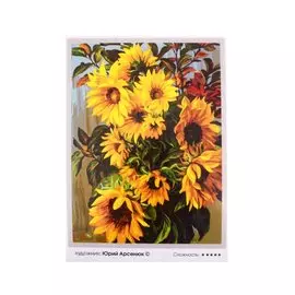 Отражения солнца