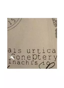 Отрез льна, 48*45 см, в пакете без подвеса, крупные бабочки