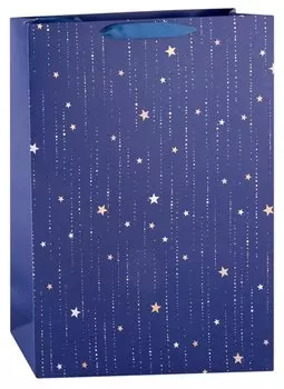 Пакет А3 46*33*10 "Rainy dots" нейтр., бум.мат.ламинат