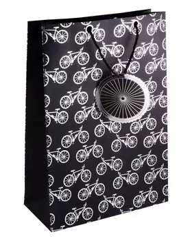 Пакет А3 46*33*10 "Велосипед" нейтр., бум.мат.ламинат
