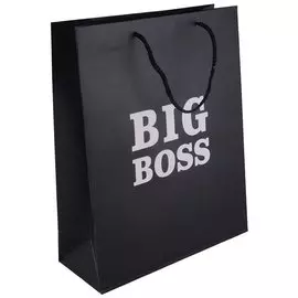 Пакет А4 32*26*10 "Big boss. Basic" нейтр., бум.мат.ламинат