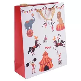 Пакет А4 32*26*10 "Цирк. Basic" дет., бум.мат.ламинат