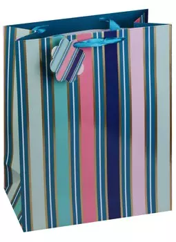 Пакет А4 "Different stripes"