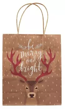 Пакет А5 22*18*10 "Новогодние друзья" Новый год, бум.мат.