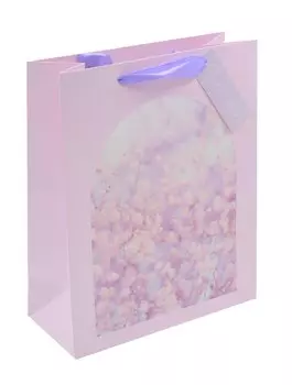 Пакет А5 23*18*10 "Цветущий сад" жен., бум.мат.ламинат