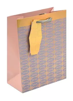 Пакет А5 23*18*10 "Графический принт" нейтр., бум.мат.ламинат