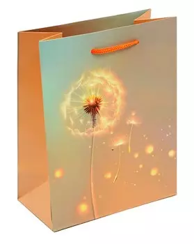 Пакет А5 23*18*10 "Одуванчик. Basic" жен., бум.мат.ламинат