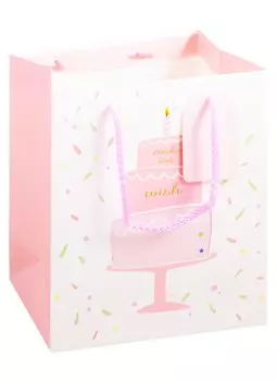 Пакет А5 23*18*10 Party Mix жен., бум.мат.ламинат, ассорти