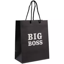 Пакет А5 23*18*10 "Big boss.Basic" нейтр., бум.мат.ламинат