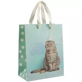 Пакет А5 23*18*10 "Cat.Basic" нейтр., бум.мат.ламинат