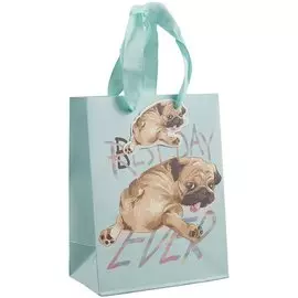 Пакет А5 23*18*10 "Doggy" дет., бум.мат.ламинат