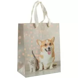 Пакет А5 23*18*10 "Друзья.Basic" нейтр., бум.мат.ламинат