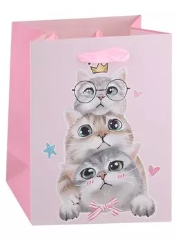 Пакет А5 23*18*10 "Kittens on party" жен., бум.мат.ламинат