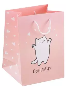 Пакет А5 23*18*10 "Обнимяу. Basic" жен., бум.мат.ламинат