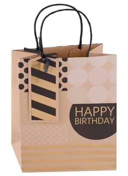 Пакет А5 23*18*10 "Поздравление" нейтр., бум.мат