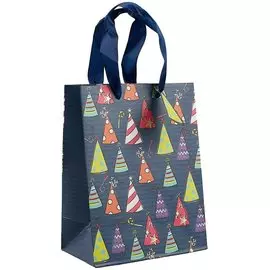 Пакет А5 23*18*10 "Праздник" нейтр., бум.мат.ламинат