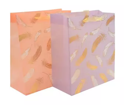 Пакет А5 25*19*8,5 "Feathers" жен., пластик