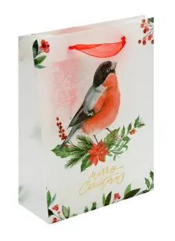 Пакет А5 25*19*8,5 "Снегирь" НГ, пластиковый