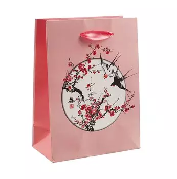 Пакет А6 12*16*6 "Ласточки" жен., бум.мат.ламинат