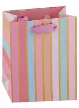 Пакет А6 14*11*6 "Bright stripes" нейтр., бум.мат