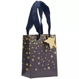 Пакет А6 14,5*11,5*6 "Золотая звезда" жен., бум.мат.ламинат