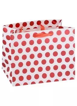 Пакет декоративный Хансибэг 18*23*10см