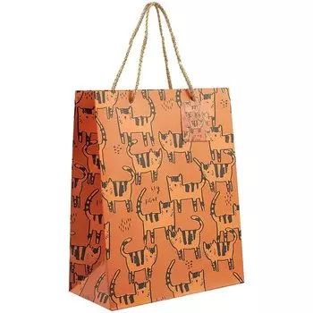 Пакет «Hey tiger», А4