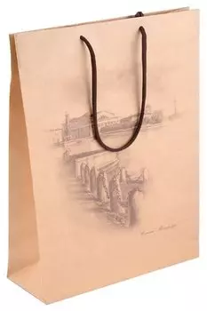 Пакет Медный всадник "Стрелка Васильевского Острова", 25х35, желтый, бумажный