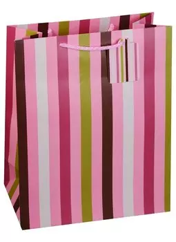 Пакет подарочный бумажный А4 "Basic", нейтральный