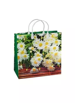 Пакет подарочный пластиковый, А3