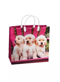 Пакет подарочный пластиковый, А4