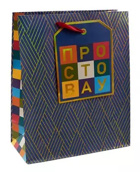 Пакет подарочный. премиум AB. 260х320 мм. . -Китай: 595 385225