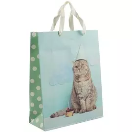 Пакет "Cat. Basic", А4