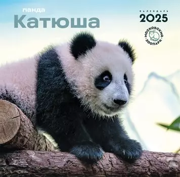 Панда Катюша. Календарь на 2025 год (300х300 мм)