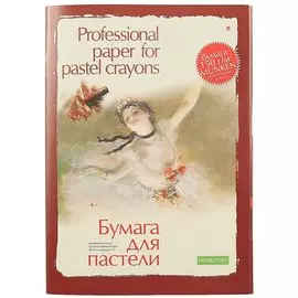 Папка для пастели «Professional», 20 листов, А3