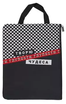 Папка для тетрадей Феникс+, "Фразы с характером", А4, на молнии