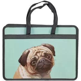 Папка для тетрадей «Мопс», А4