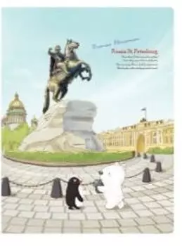 Папка на 20 карм. А4 Comix 0,55мм TRAVELLING Санк-Петербург