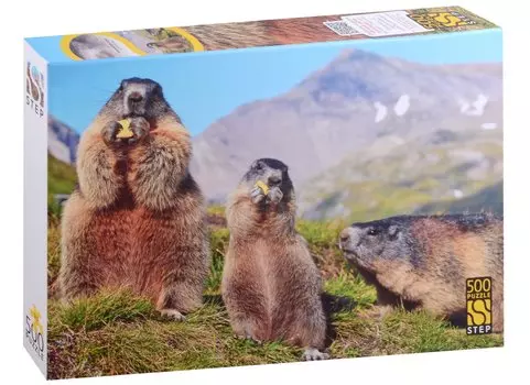 Пазл "Альпийские сурки", 500 деталей