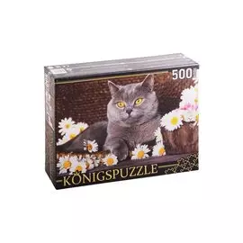 Пазл Британский кот и ромашки 500 элементов Konigspuzzle ШТK500-3576