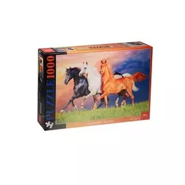 Пазлы 1000 А2ф Красивые лошади от 12 до 99 лет (1000ПЗ2_13357) (45х68см) (3+) (Hatber) (коробка)