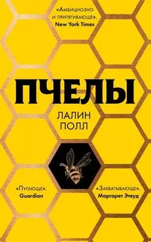 Пчелы