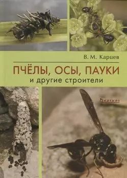 Пчелы, осы, пауки и другие строители
