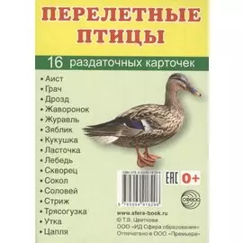 Перелетные птицы. 16 раздаточных карточек с текстом на русском и английском языках
